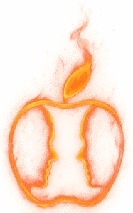 ✨ Promo Bypass A12+ — iPhone XR a iPhone 16 Pro Max / iPad A12+ a M4 ✨